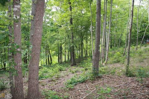 313 Kimberly Dr, Toccoa, GA 30577 photo 6