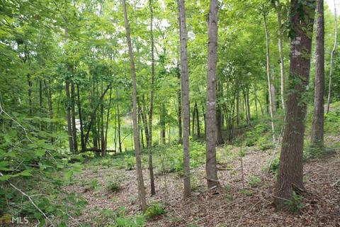 313 Kimberly Dr, Toccoa, GA 30577 photo 7