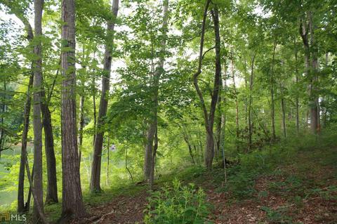 313 Kimberly Dr, Toccoa, GA 30577 photo 8