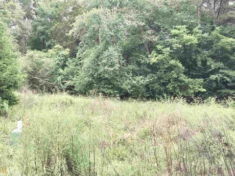 10 Heather Cir, Cave Spring, GA 30124 photo 3