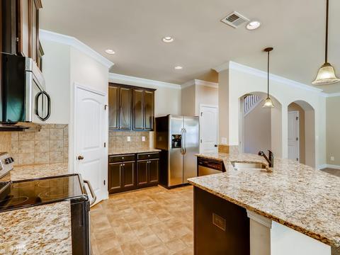 1433 Stone Ridge Ct, Hampton, GA 30228 photo 9