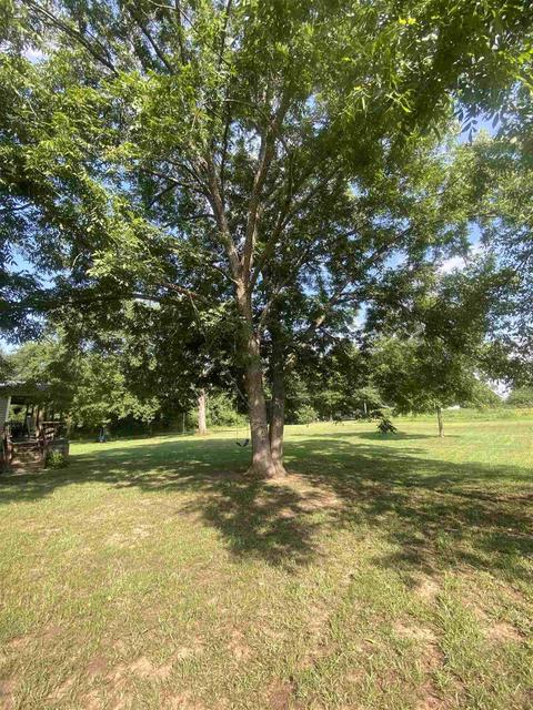 446 Adams Rd, Covington, GA 30014 photo 7