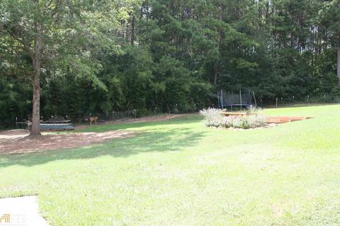 229 Henry Higgins Rd, Jackson, GA 30233 photo 30