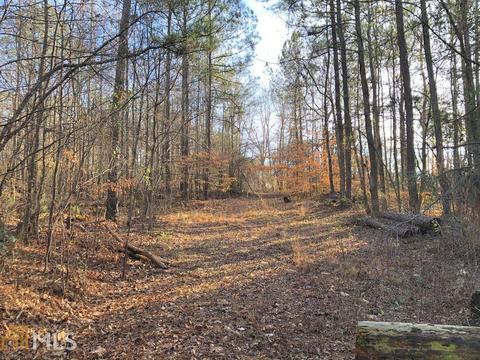 8 Edgewater Dr, Temple, GA 30179 photo 6