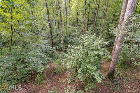 230 Mccartan Trl, Clarkesville, GA 30523 photo 38