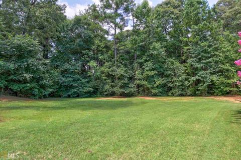 59 Farmbrook Way, Senoia, GA 30276 photo 34
