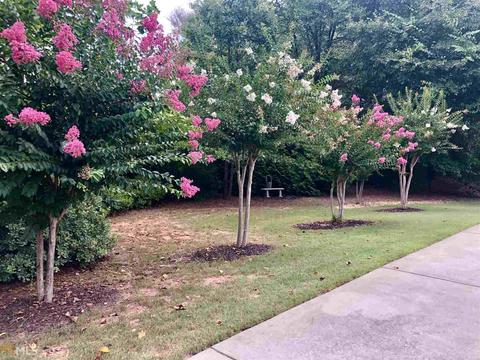 59 Farmbrook Way, Senoia, GA 30276 photo 35
