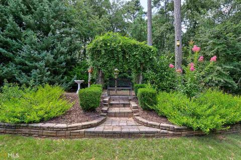 59 Farmbrook Way, Senoia, GA 30276 photo 29