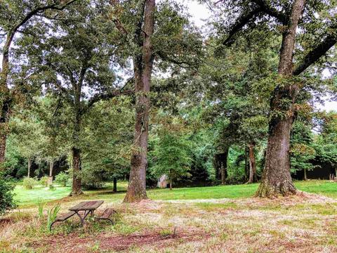 512 Elder Rd, Winder, GA 30680 photo 24