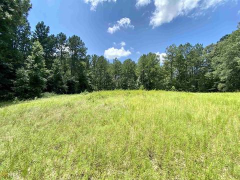 6570 Wilcher Rd, Mitchell, GA 30820 photo 53