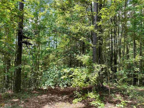 6570 Wilcher Rd, Mitchell, GA 30820 photo 45