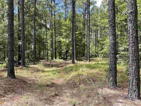 6570 Wilcher Rd, Mitchell, GA 30820 photo 38