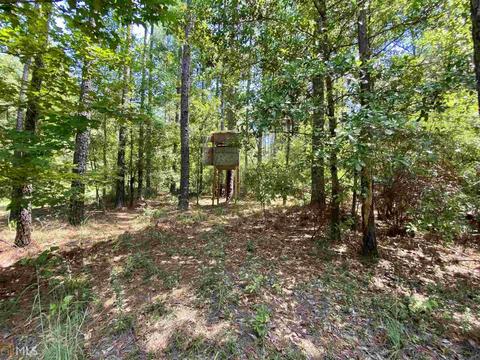6570 Wilcher Rd, Mitchell, GA 30820 photo 41