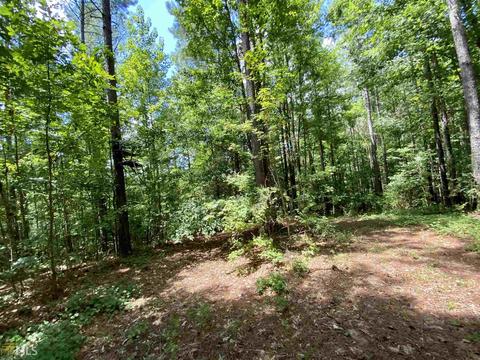 6570 Wilcher Rd, Mitchell, GA 30820 photo 44