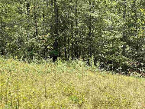 6570 Wilcher Rd, Mitchell, GA 30820 photo 54