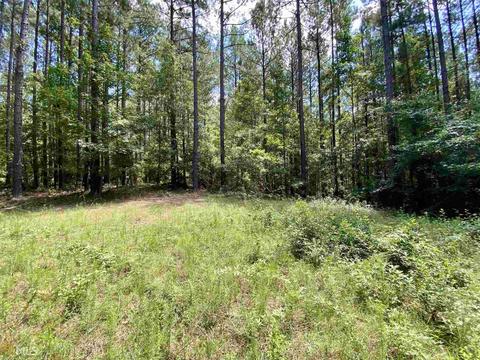 6570 Wilcher Rd, Mitchell, GA 30820 photo 47