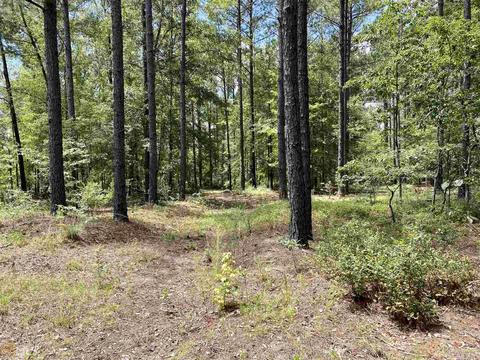 6570 Wilcher Rd, Mitchell, GA 30820 photo 37
