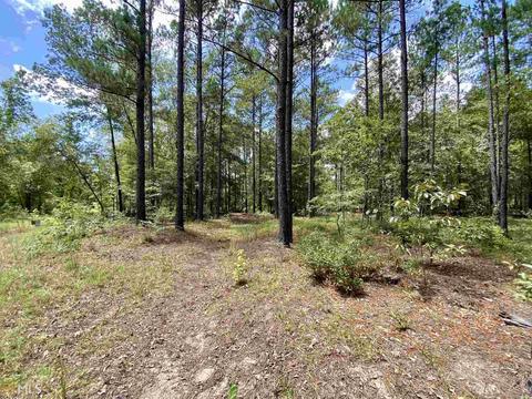 6570 Wilcher Rd, Mitchell, GA 30820 photo 36