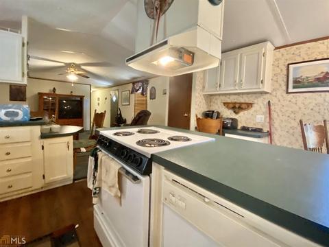 6570 Wilcher Rd, Mitchell, GA 30820 photo 4