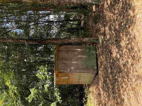 6570 Wilcher Rd, Mitchell, GA 30820 photo 35
