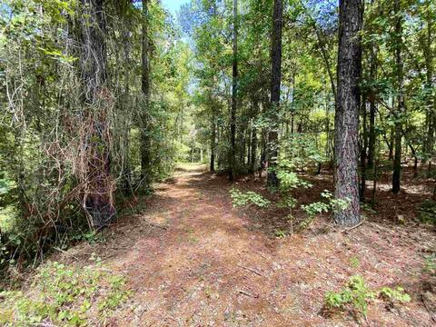 6570 Wilcher Rd, Mitchell, GA 30820 photo 49