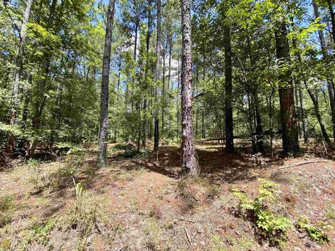 6570 Wilcher Rd, Mitchell, GA 30820 photo 39