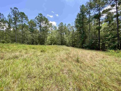6570 Wilcher Rd, Mitchell, GA 30820 photo 55