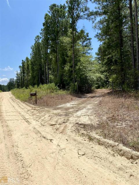 6570 Wilcher Rd, Mitchell, GA 30820 photo 34