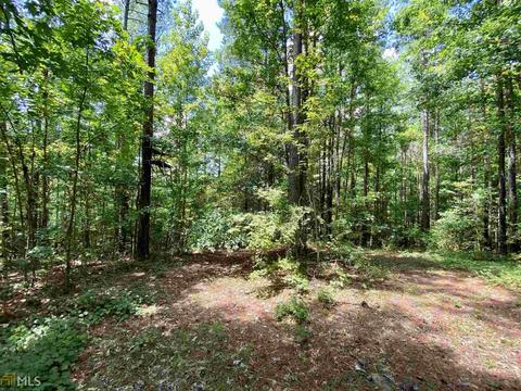 6570 Wilcher Rd, Mitchell, GA 30820 photo 46