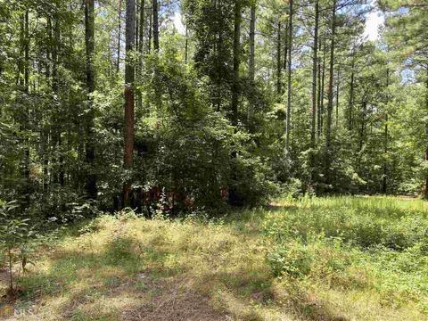 6570 Wilcher Rd, Mitchell, GA 30820 photo 43