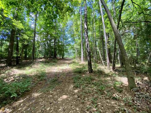 6570 Wilcher Rd, Mitchell, GA 30820 photo 50