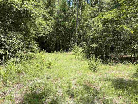 6570 Wilcher Rd, Mitchell, GA 30820 photo 40