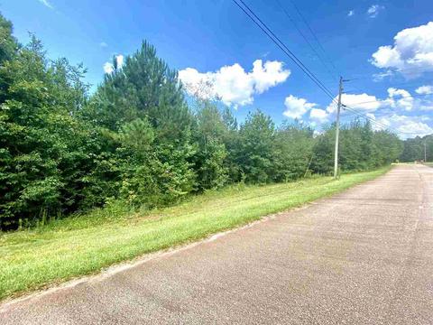 249 Shawnee Trl, Toccoa, GA 30577 photo 4