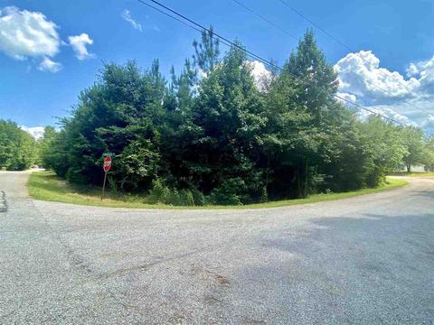 249 Shawnee Trl, Toccoa, GA 30577 photo 2