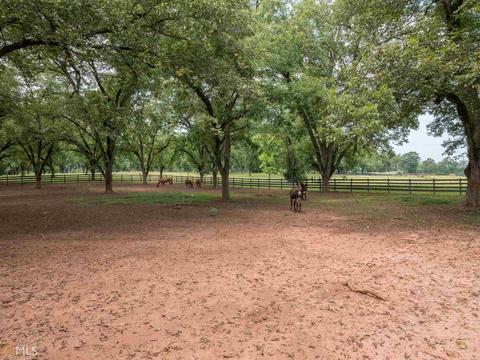 503 Freeman Rd, Barnesville, GA 30204 photo 6