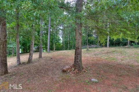 527 Meadow Spring Dr, Temple, GA 30179 photo 5