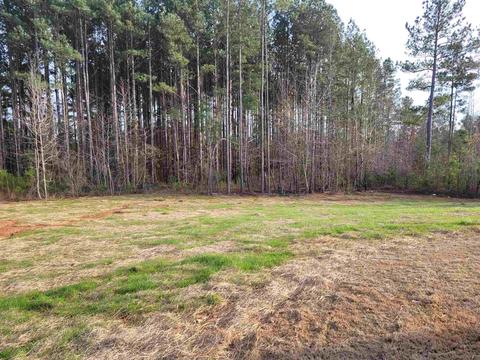 409 White Pines Dr, Jackson, GA 30233 photo 5