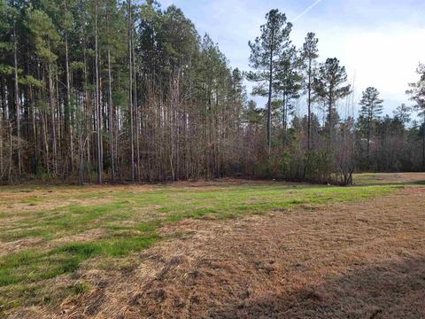 409 White Pines Dr, Jackson, GA 30233 photo 4