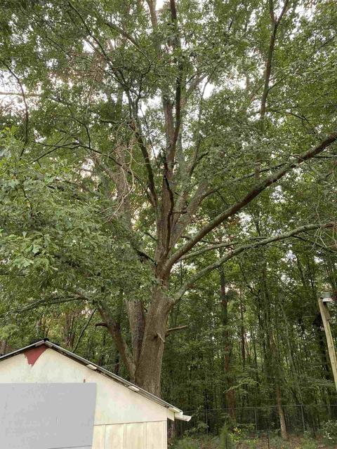 258 Persimmon, Toccoa, GA 30577 photo 20