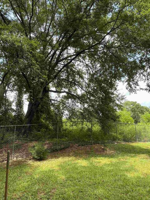 258 Persimmon, Toccoa, GA 30577 photo 25