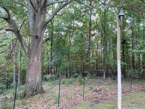 258 Persimmon, Toccoa, GA 30577 photo 22
