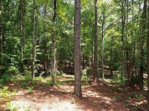 0 Holly Rd, Bowdon, GA 30108 photo 6