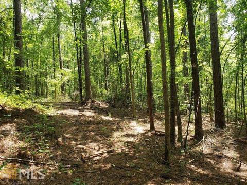 0 Holly Rd, Bowdon, GA 30108 photo 7
