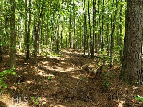 0 Holly Rd, Bowdon, GA 30108 photo 3