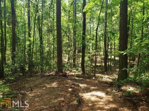 0 Holly Rd, Bowdon, GA 30108 photo 2