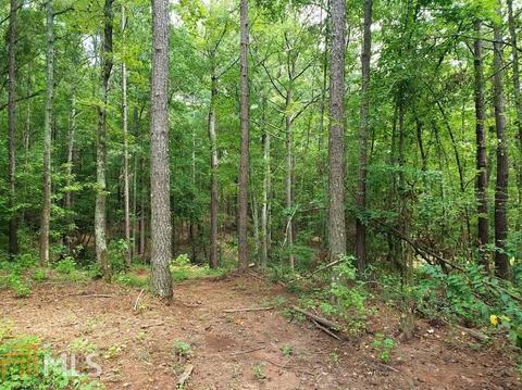 0 Holly Rd, Bowdon, GA 30108 photo 5