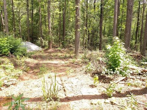 0 Holly Rd, Bowdon, GA 30108 photo 8
