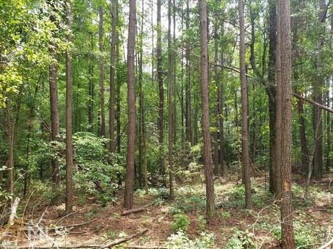 0 Holly Rd, Bowdon, GA 30108 photo 4