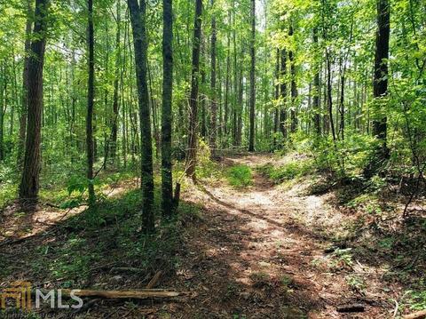 0 Holly Rd, Bowdon, GA 30108 photo 1
