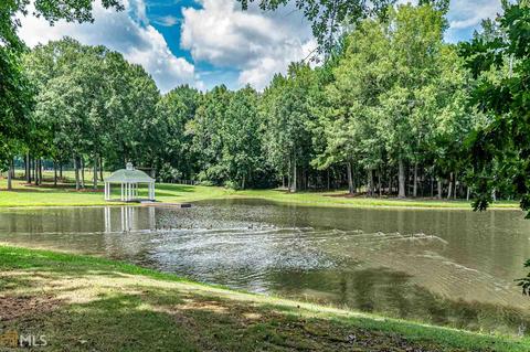 409 Farmer Dr, Hampton, GA 30228 photo 9